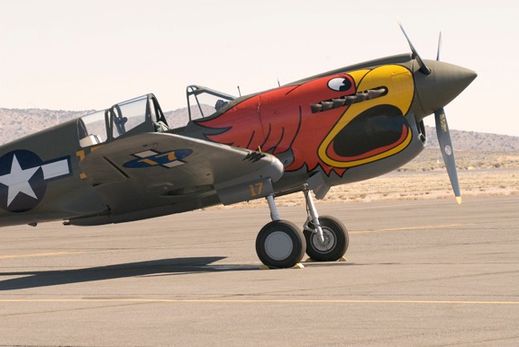 1-2009-reno-air-races-p-40-parrot.jpg