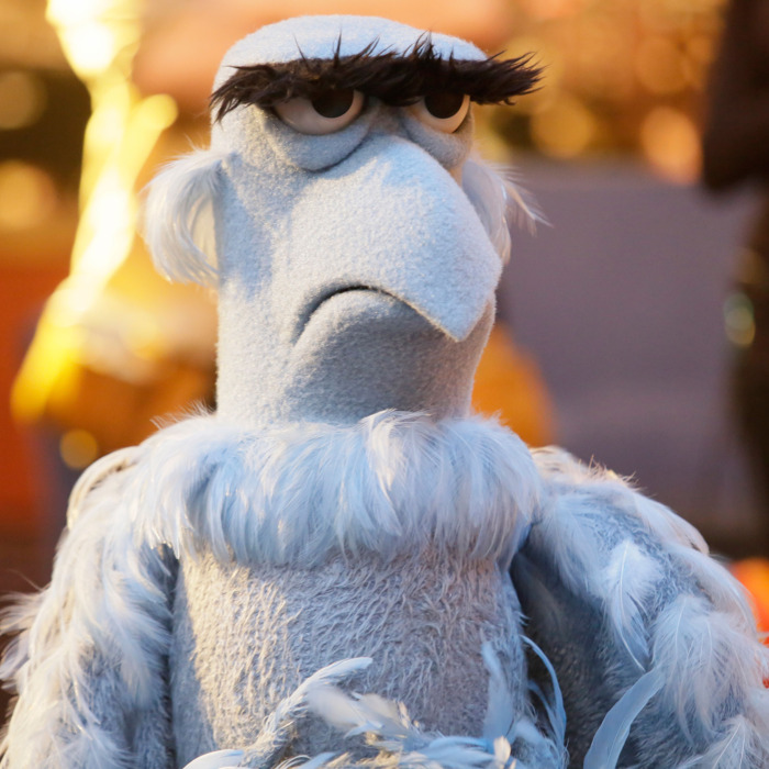 10-muppets.w700.h700-1.jpg