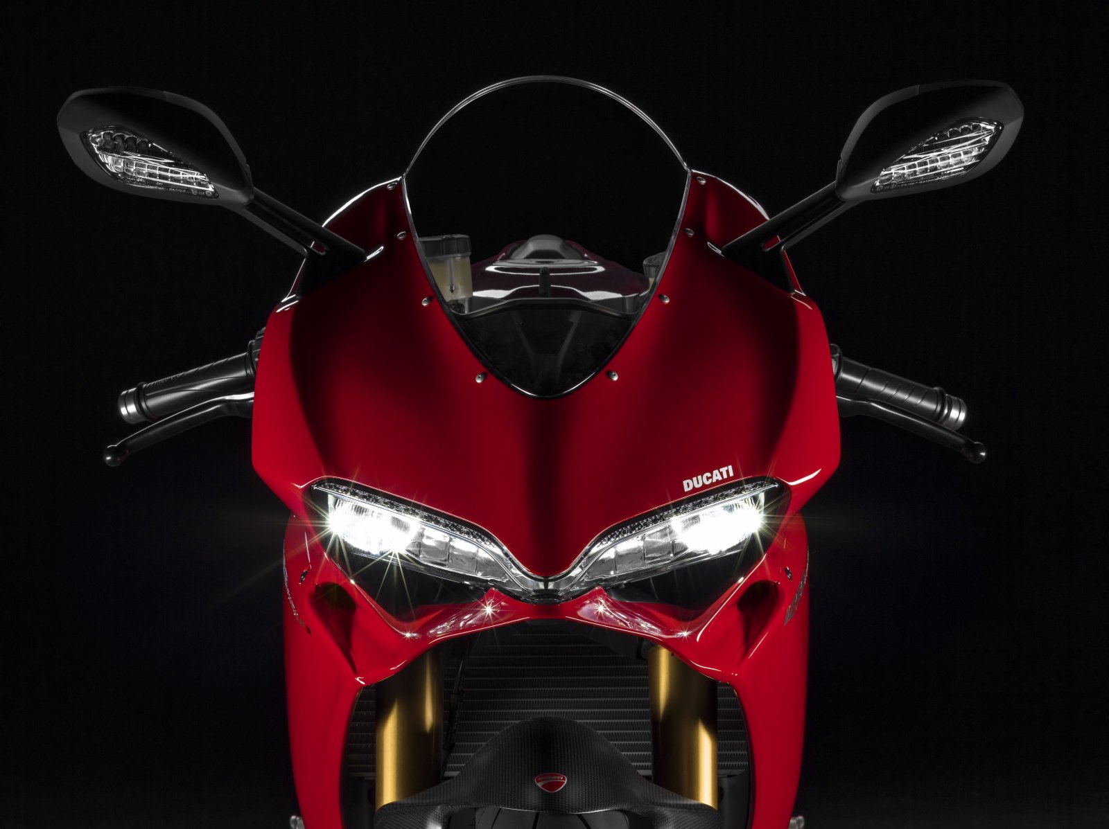 43-17 1299 PANIGALE S.jpg