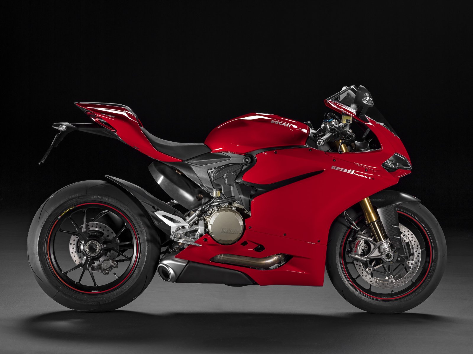 47-13 1299 PANIGALE S.jpg