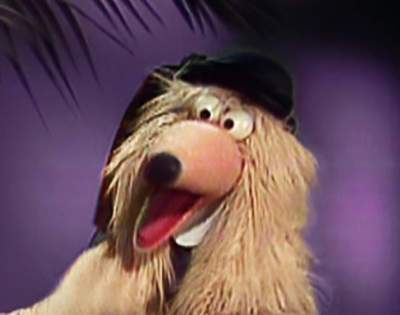 Afghanhound_All_the_female_muppets.jpg