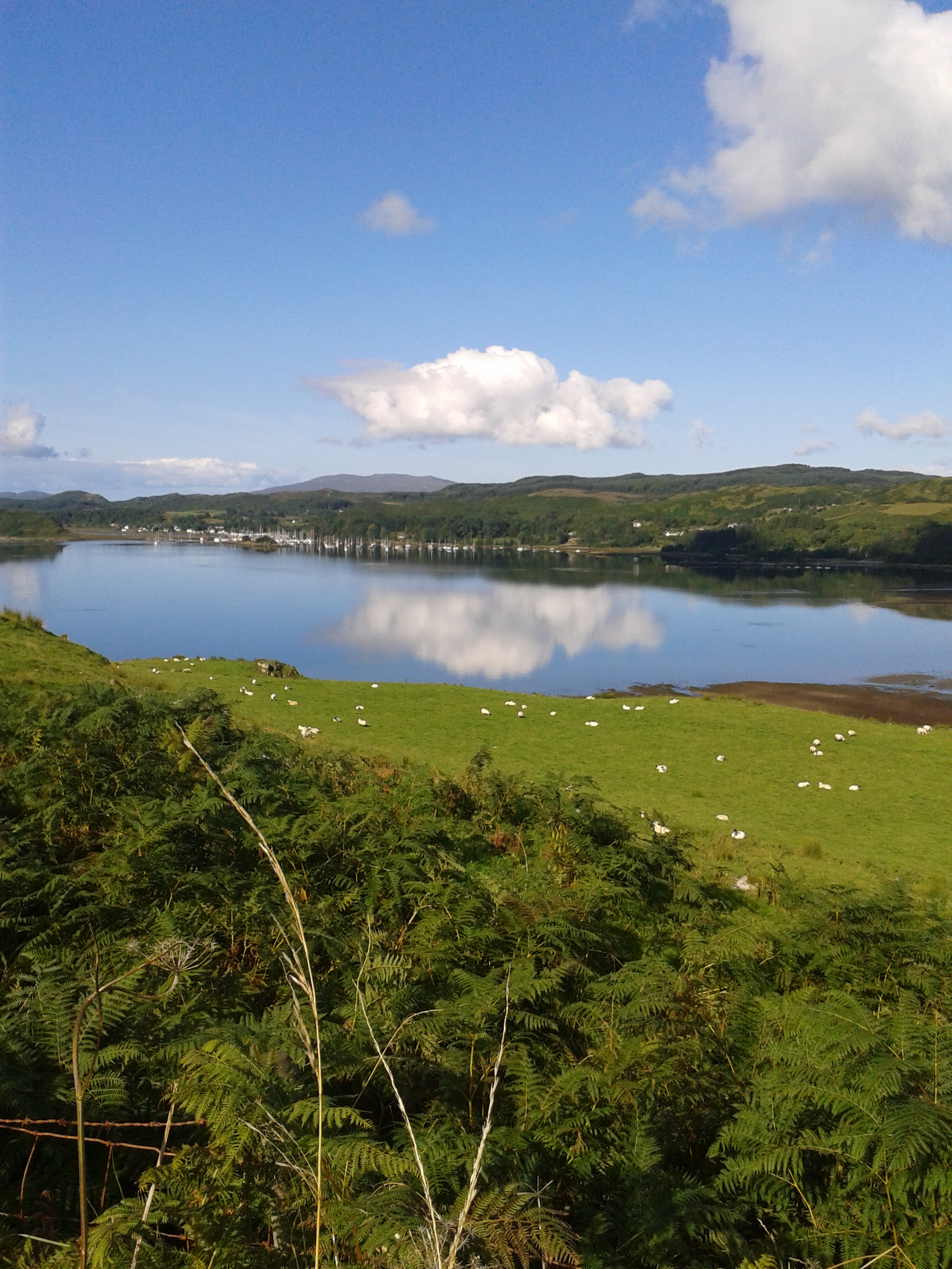 arran aug 14 003.jpg