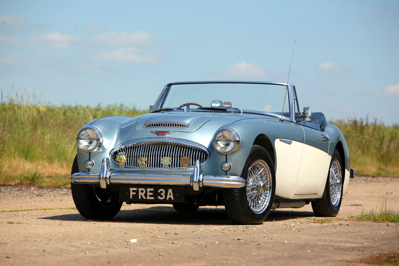 Austin-Healey-header.jpg