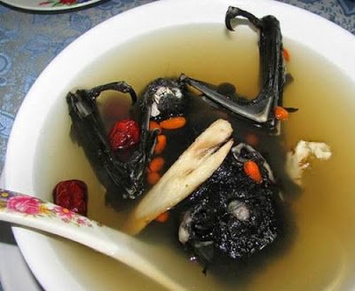 bat soup.jpg