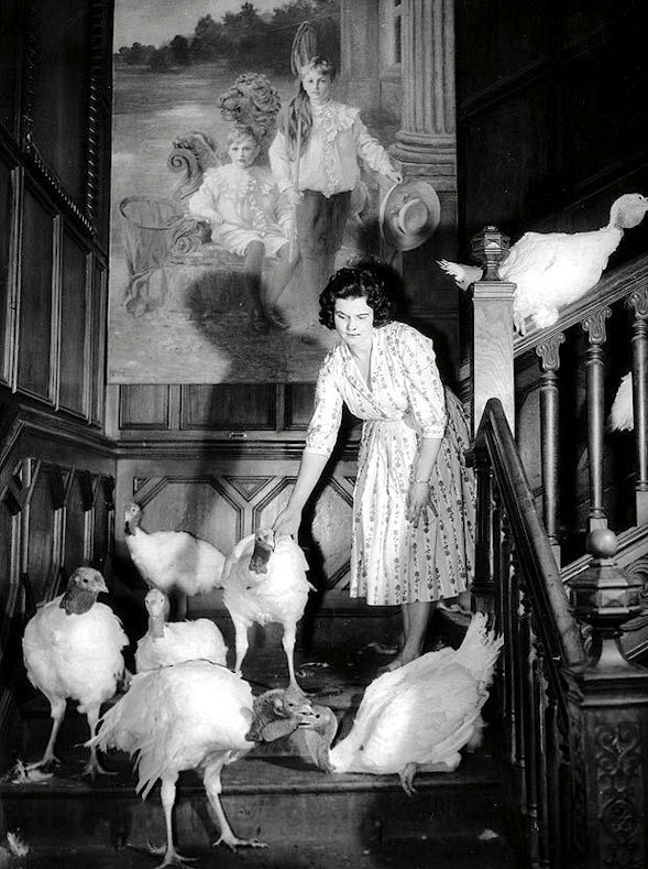 bernard-matthews-joyce-with-turkeys.jpg