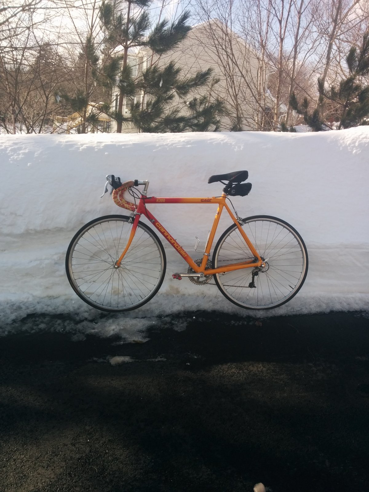 bike in winter.jpg