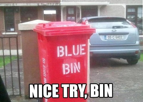 bin.jpg