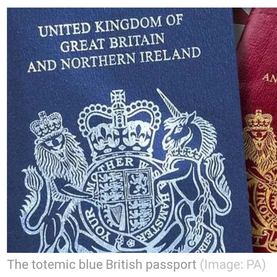 blue passport.jpg