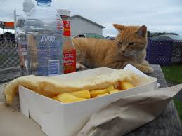 Cat fish and chips.png