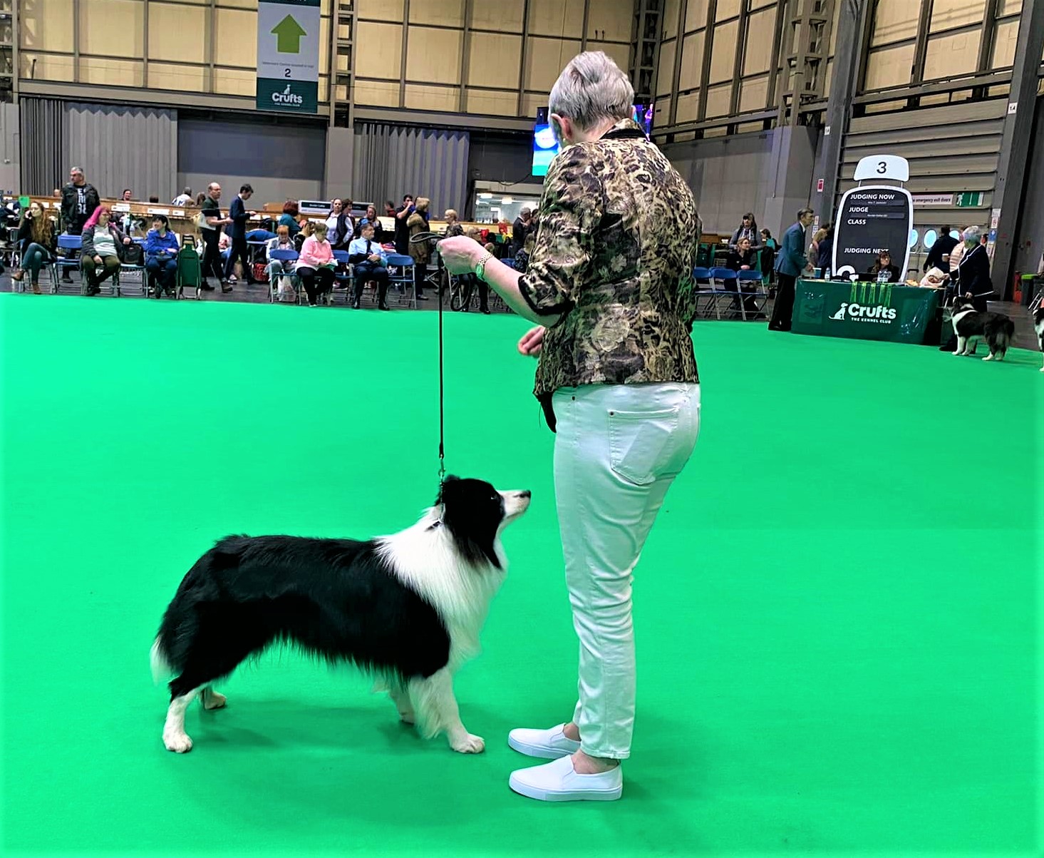 Chester Crufts 2022.jpg