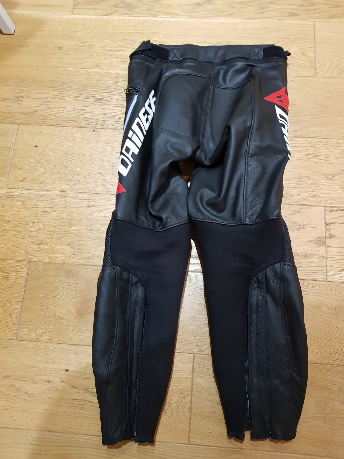 Dainese Delta Pro C2 Pants Black Rear.jpg