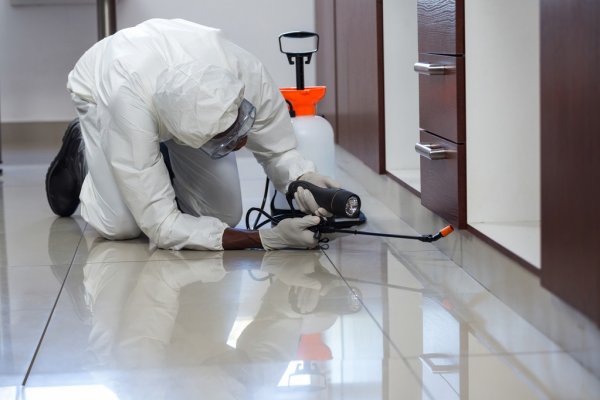 depositphotos_106107102-stock-photo-pest-control-man-spraying-pesticide.jpg