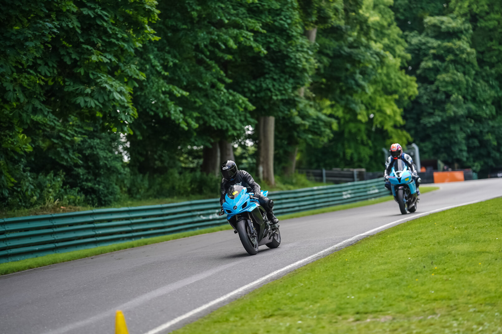 downloadl_200621_2885_cadwell.jpg