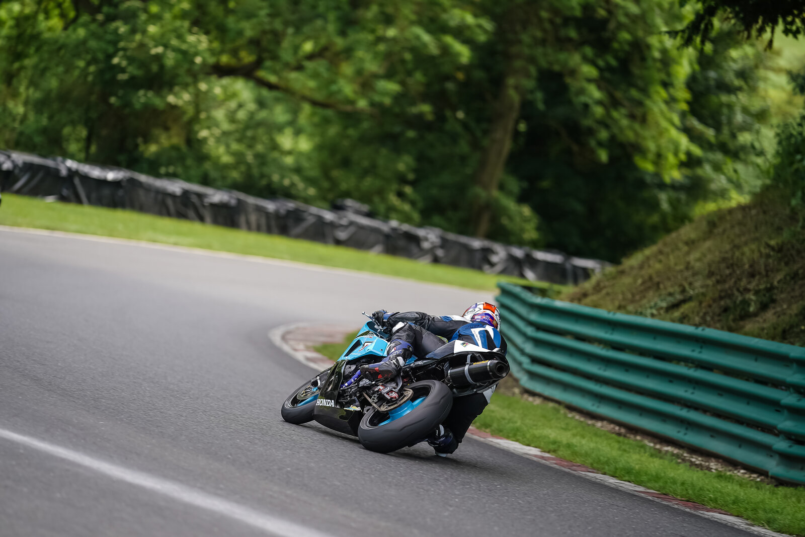 downloadl_200621_2886_cadwell.jpg