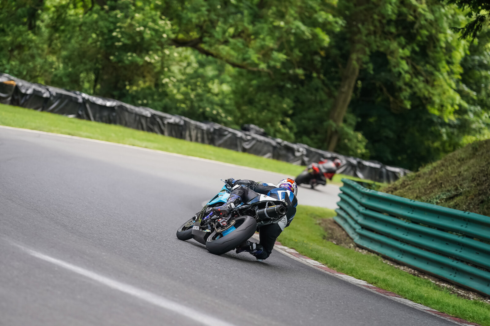 downloadl_200621_2946_cadwell.jpg