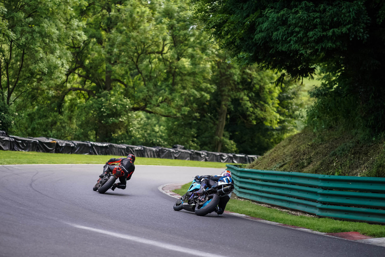 downloadl_200621_3026_cadwell.jpg