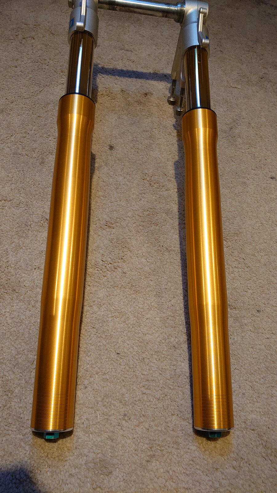 Ohlins forks best sale for sale