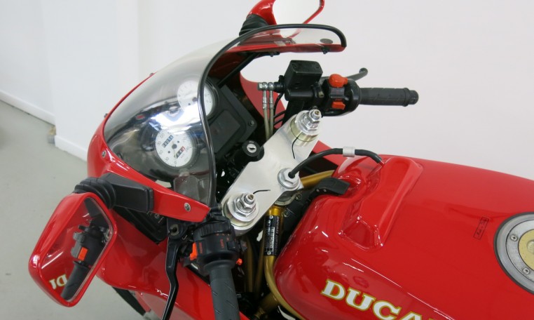 Duc 8.jpg