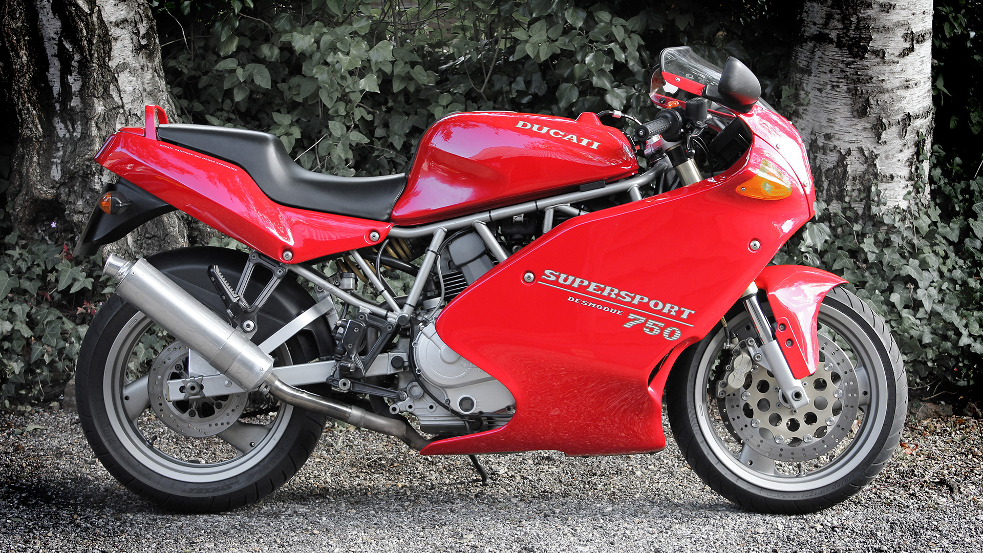 Greetings From South Devon | Ducati Forum