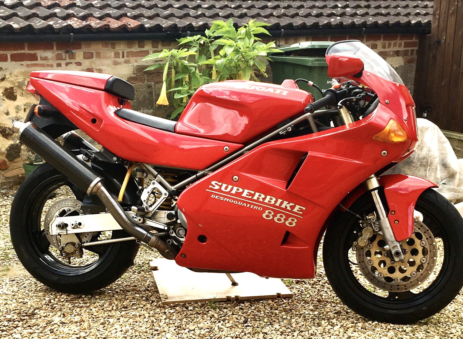 Ducati7.jpg