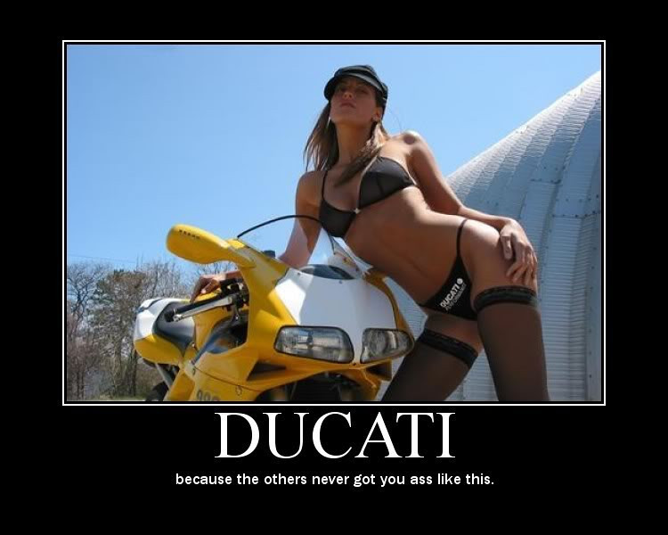 ducati_motivation-L.jpg