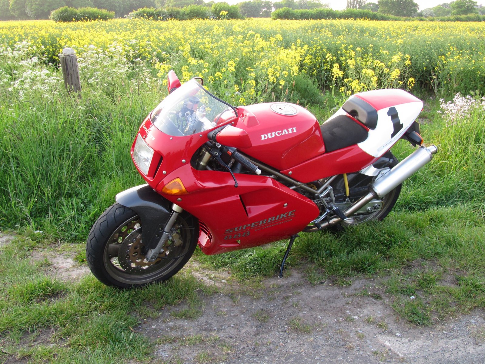 Ducatis 032.JPG