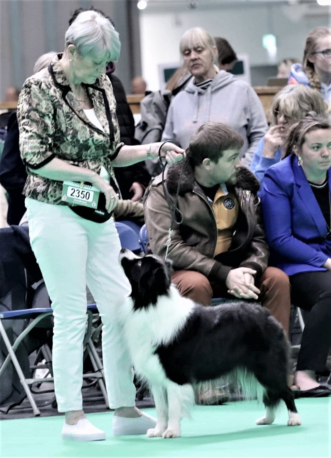 Fly Crufts 2022 2.jpg