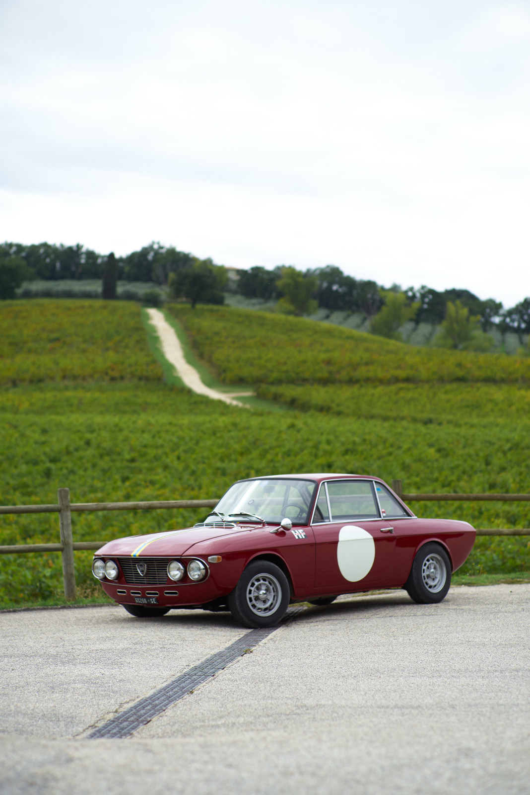 Fulvia HF.JPG