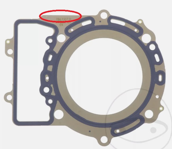 Gasket pic.jpg