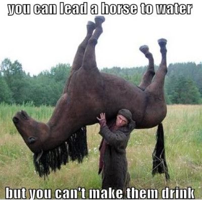 horsewater.jpeg