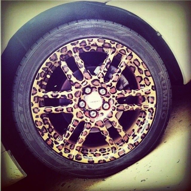 Leopard Skin Wheel.jpg