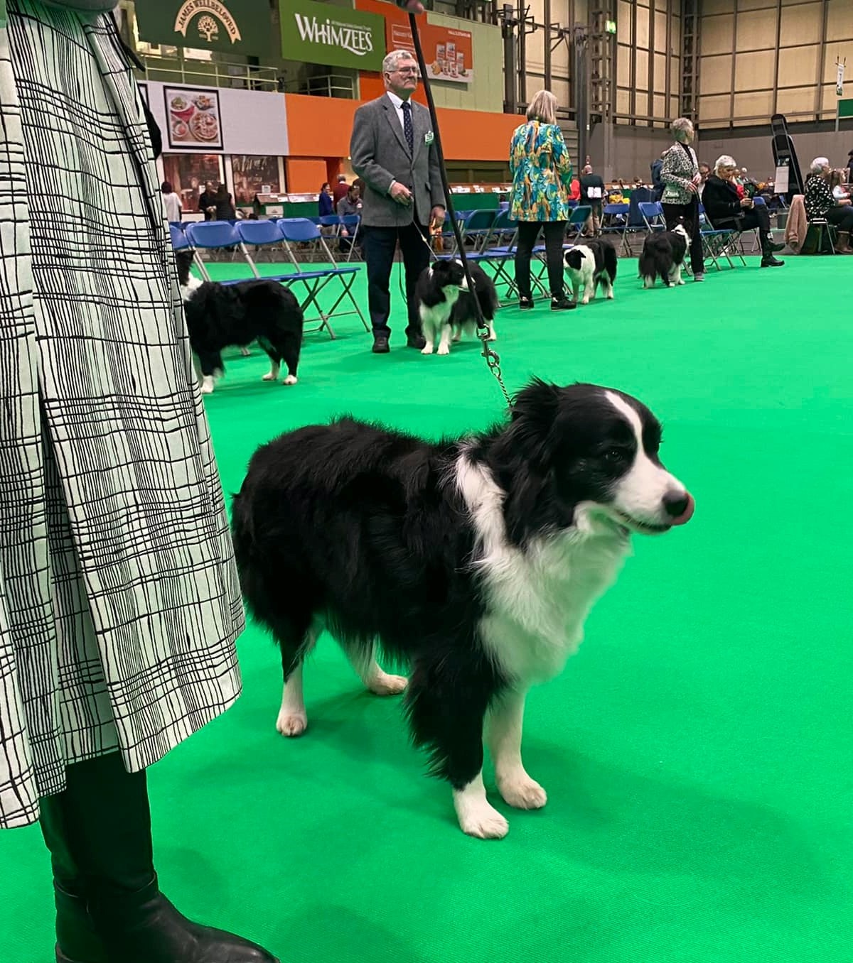 Meg Crufts 2022.jpg