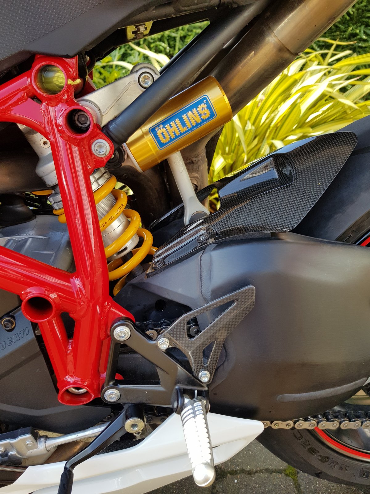 Ohlins & Carbon-Left.jpg