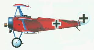 Red Baron wings.jpg