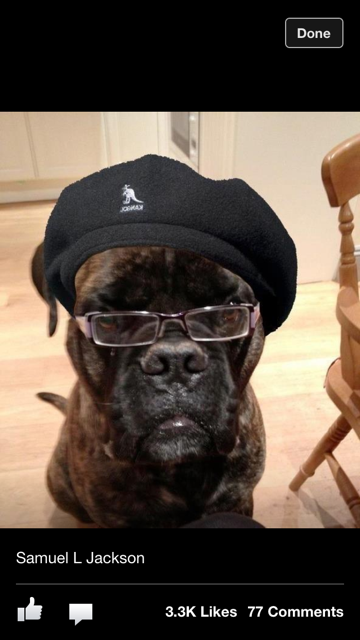 Samuel L Jackson.PNG