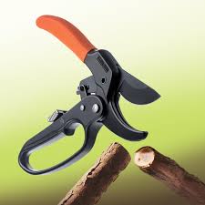 secateurs.jpg