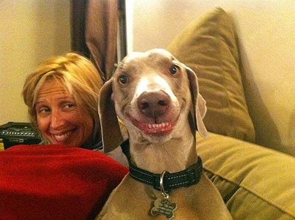 smiley-dog.jpg