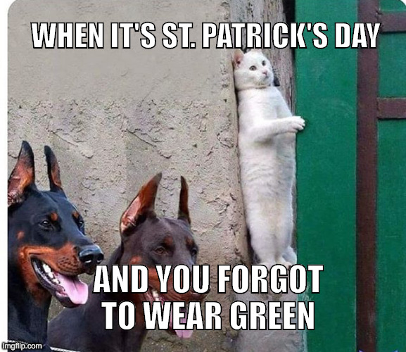 St-Patricks-Day-Meme-Funny.jpg