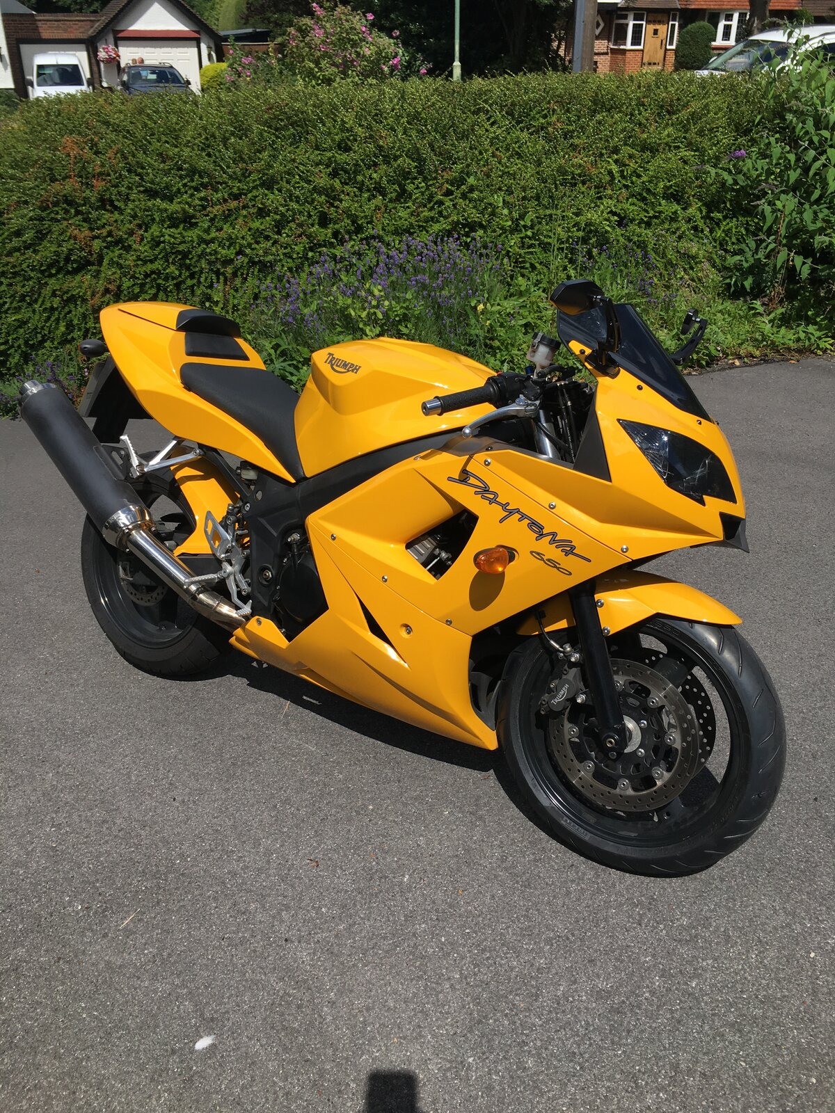 Triumph Daytona 650.JPG