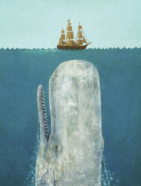 whale-1.jpg