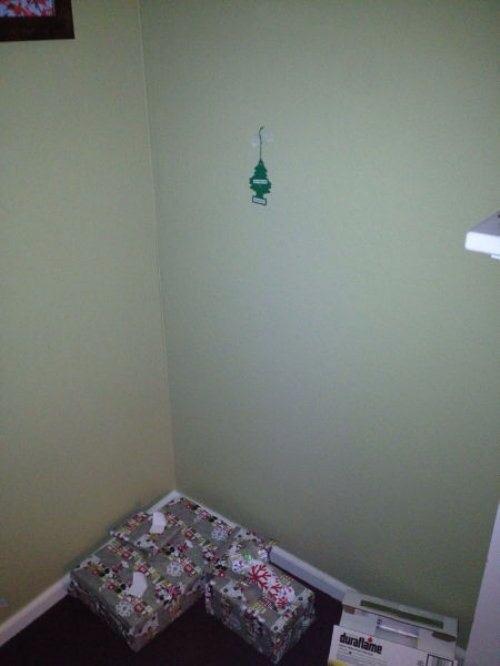 xmas tree.jpg