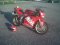 buckstones ducati.jpg