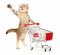 10776305-cat-with-shopping-cart-isolated-on-white.jpg