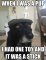 funny-toy-stick-old-dog-puppy.jpg