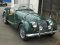 Green-Morgan--24756.jpg