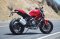 Ducati-Monster-rear.jpg