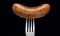 a-sausage-on-a-fork-005.jpg