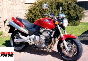 Honda Hornet