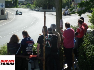 TT2012 303 (Large)