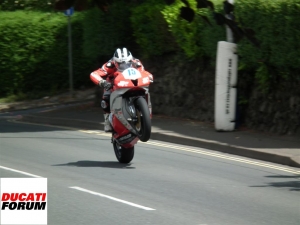 TT2012 202 (Large)